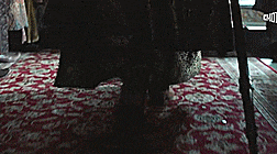 https://upforme.ru/uploads/001b/47/67/2/109441.gif
