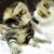 https://upforme.ru/uploads/001b/4c/aa/2/972247.gif