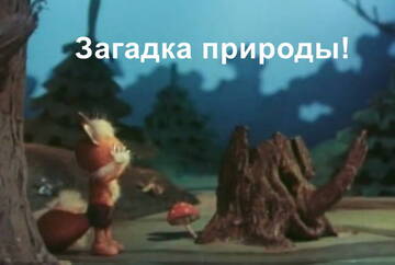 https://upforme.ru/uploads/001b/4f/36/11/t300248.jpg