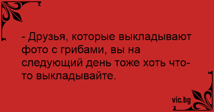 https://upforme.ru/uploads/001b/4f/36/11/t858345.png