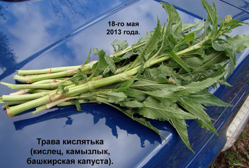 https://upforme.ru/uploads/001b/4f/36/12/t685316.png