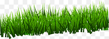 https://upforme.ru/uploads/001b/4f/36/2/t140051.png