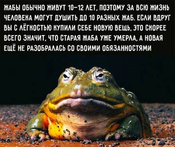 https://upforme.ru/uploads/001b/4f/36/2/t257987.jpg
