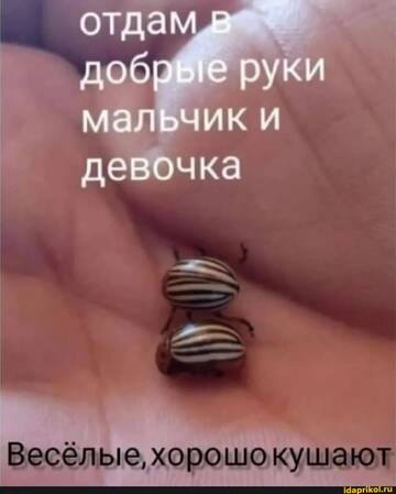 https://upforme.ru/uploads/001b/4f/36/2/t267325.jpg