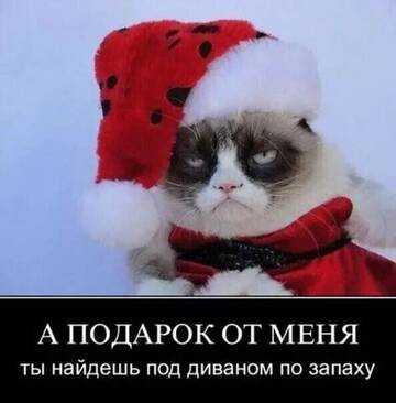 https://upforme.ru/uploads/001b/4f/36/2/t27431.jpg