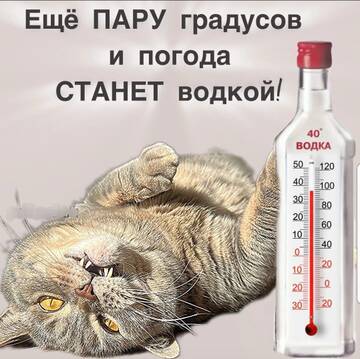 https://upforme.ru/uploads/001b/4f/36/22/t62604.jpg