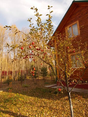 https://upforme.ru/uploads/001b/4f/36/24/t380887.jpg