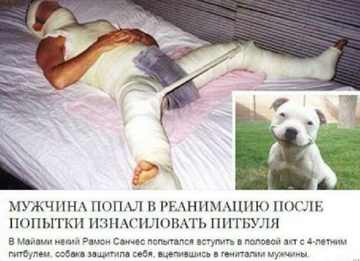 https://upforme.ru/uploads/001b/4f/36/24/t558738.png