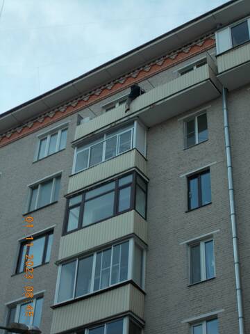 https://upforme.ru/uploads/001b/4f/36/24/t675183.jpg