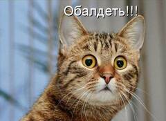 https://upforme.ru/uploads/001b/4f/36/25/t104404.jpg