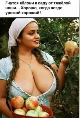 https://upforme.ru/uploads/001b/4f/36/25/t142059.jpg