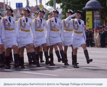 https://upforme.ru/uploads/001b/4f/36/25/t166014.jpg