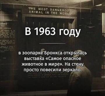 https://upforme.ru/uploads/001b/4f/36/25/t207230.jpg