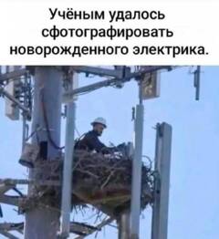 https://upforme.ru/uploads/001b/4f/36/25/t282888.jpg