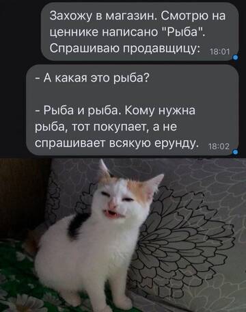 https://upforme.ru/uploads/001b/4f/36/25/t365498.jpg