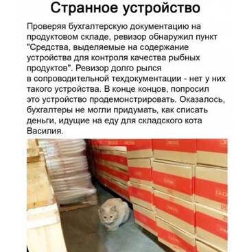 https://upforme.ru/uploads/001b/4f/36/25/t418835.jpg