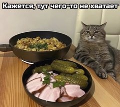 https://upforme.ru/uploads/001b/4f/36/25/t500291.png