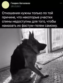 https://upforme.ru/uploads/001b/4f/36/25/t524644.webp