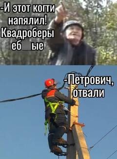 https://upforme.ru/uploads/001b/4f/36/25/t545826.jpg