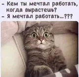 https://upforme.ru/uploads/001b/4f/36/25/t600769.webp