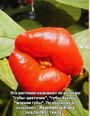 https://upforme.ru/uploads/001b/4f/36/25/t823309.jpg