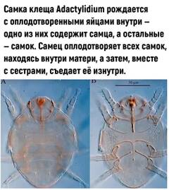 https://upforme.ru/uploads/001b/4f/36/25/t873218.jpg
