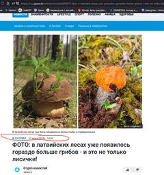 https://upforme.ru/uploads/001b/4f/36/25/t887363.jpg