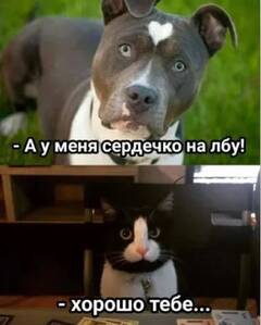 https://upforme.ru/uploads/001b/4f/36/25/t900517.jpg