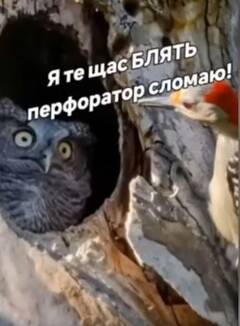 https://upforme.ru/uploads/001b/4f/36/25/t986320.jpg