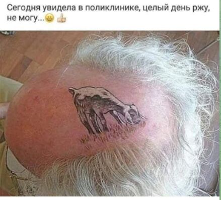 https://upforme.ru/uploads/001b/4f/36/27/309830.jpg