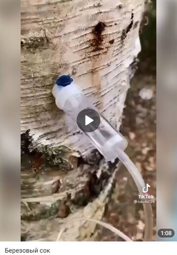 https://upforme.ru/uploads/001b/4f/36/27/t406648.jpg