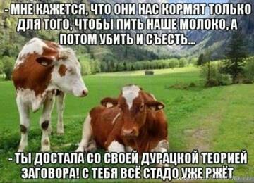 https://upforme.ru/uploads/001b/4f/36/27/t413197.jpg