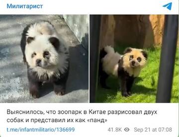 https://upforme.ru/uploads/001b/4f/36/27/t434465.jpg