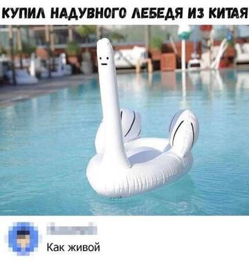https://upforme.ru/uploads/001b/4f/36/27/t626275.jpg