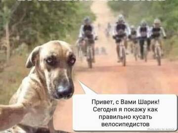 https://upforme.ru/uploads/001b/4f/36/27/t632789.jpg