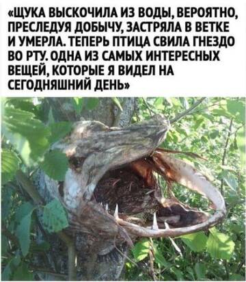 https://upforme.ru/uploads/001b/4f/36/27/t847782.jpg