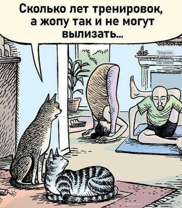 https://upforme.ru/uploads/001b/4f/36/27/t864320.jpg