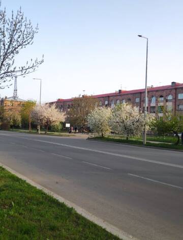 https://upforme.ru/uploads/001b/4f/36/43/t721818.jpg