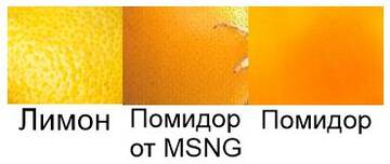 https://upforme.ru/uploads/001b/4f/36/43/t824360.jpg