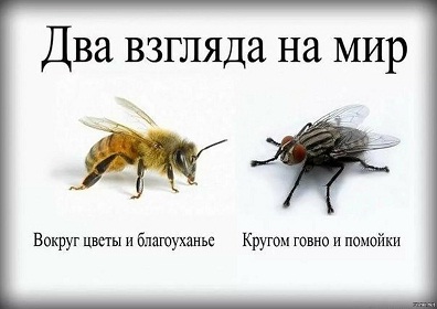 https://upforme.ru/uploads/001b/4f/36/46/485680.jpg
