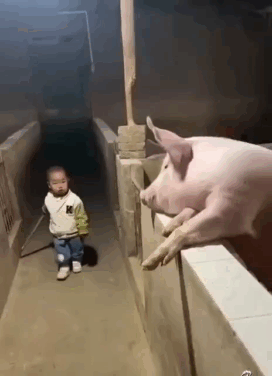 https://upforme.ru/uploads/001b/4f/36/5/186756.gif