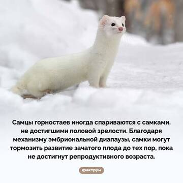 https://upforme.ru/uploads/001b/4f/36/67/t84480.jpg