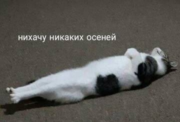 https://upforme.ru/uploads/001b/4f/36/69/t228696.jpg