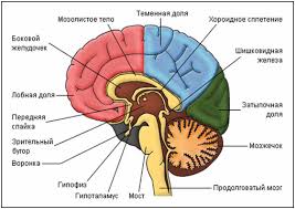 https://upforme.ru/uploads/001b/4f/36/69/t939370.jpg