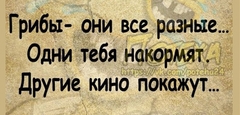 https://upforme.ru/uploads/001b/4f/36/8/t321575.png