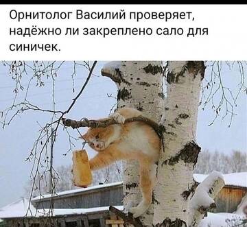 https://upforme.ru/uploads/001b/4f/36/8/t324428.jpg