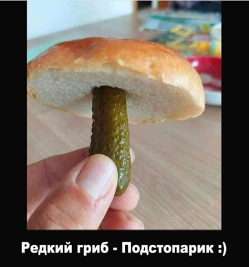 https://upforme.ru/uploads/001b/4f/36/8/t394504.png