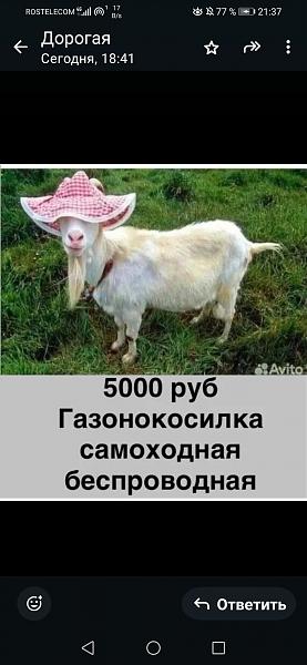 https://upforme.ru/uploads/001b/4f/36/8/t43007.jpg