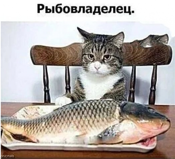 https://upforme.ru/uploads/001b/4f/36/8/t501469.png