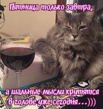 https://upforme.ru/uploads/001b/4f/36/8/t688923.png